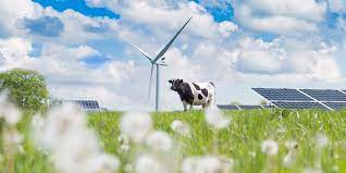 groene energie