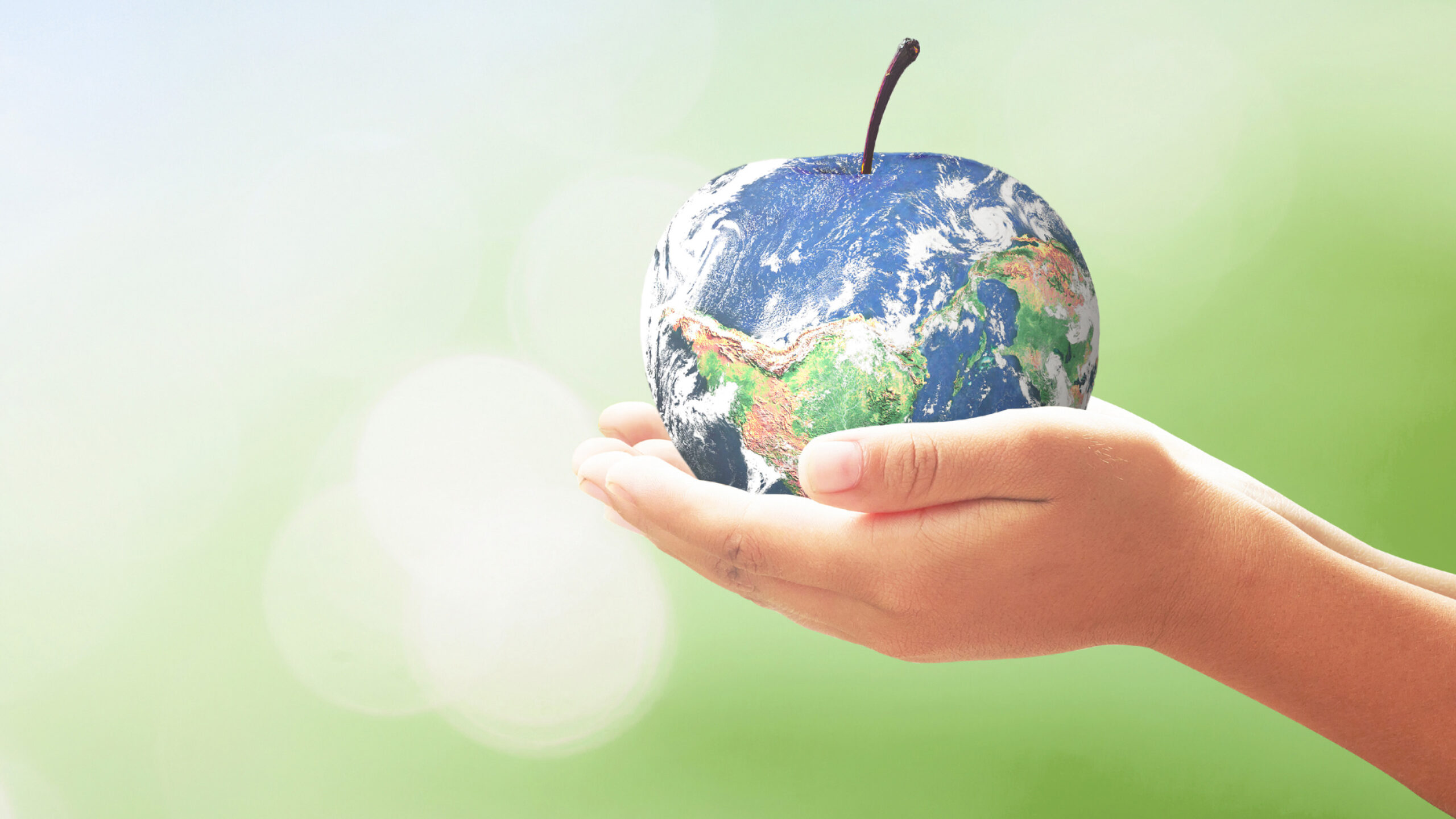 duurzame producten eten