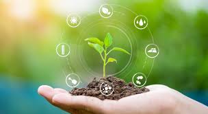 innovatie duurzaamheid