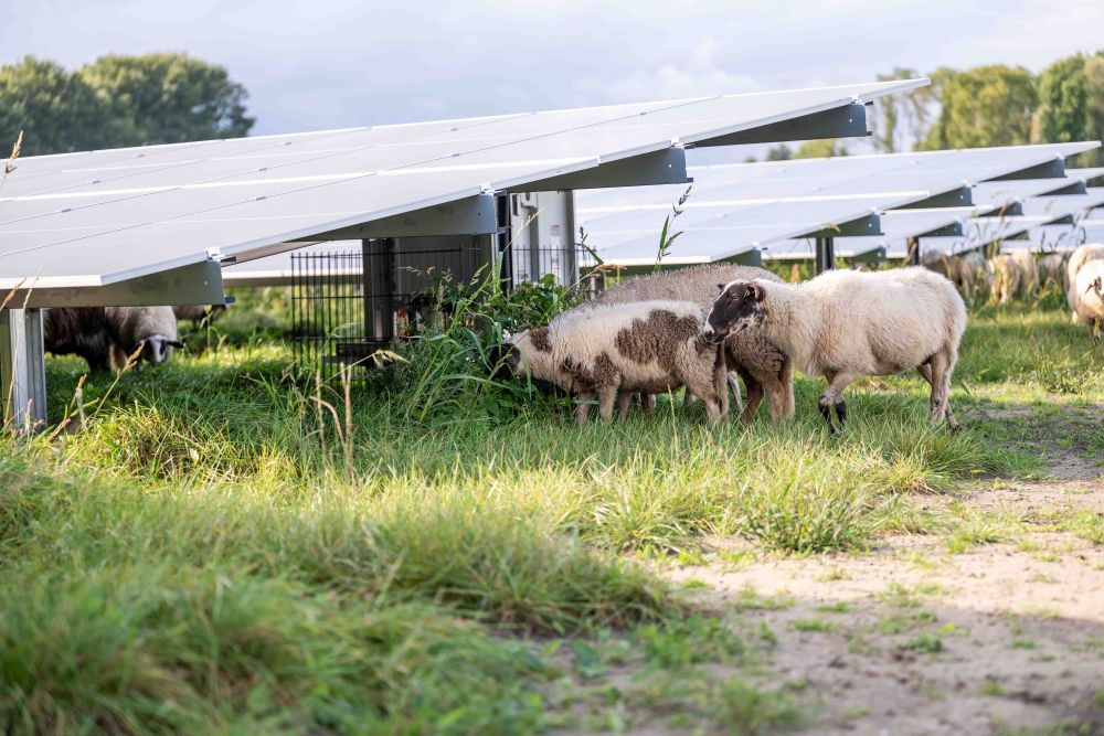 soorten groene energie