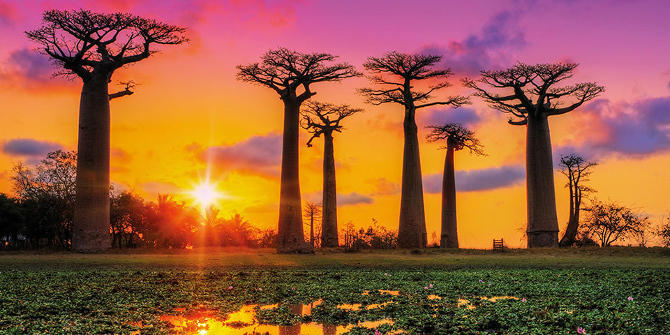 ecologisch betekenis