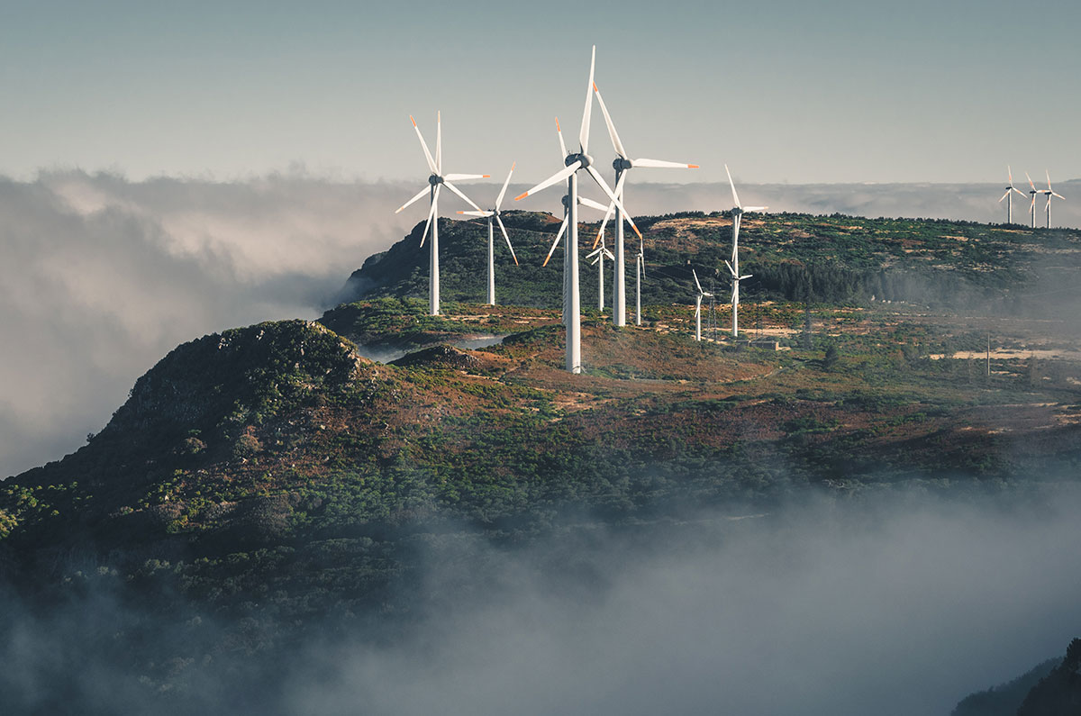 greenpeace groene energie