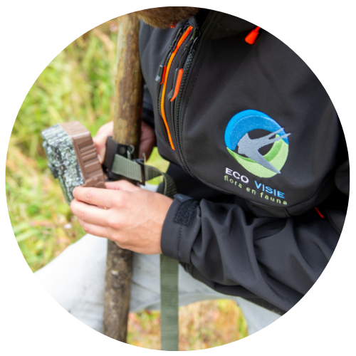 ecologisch onderzoek