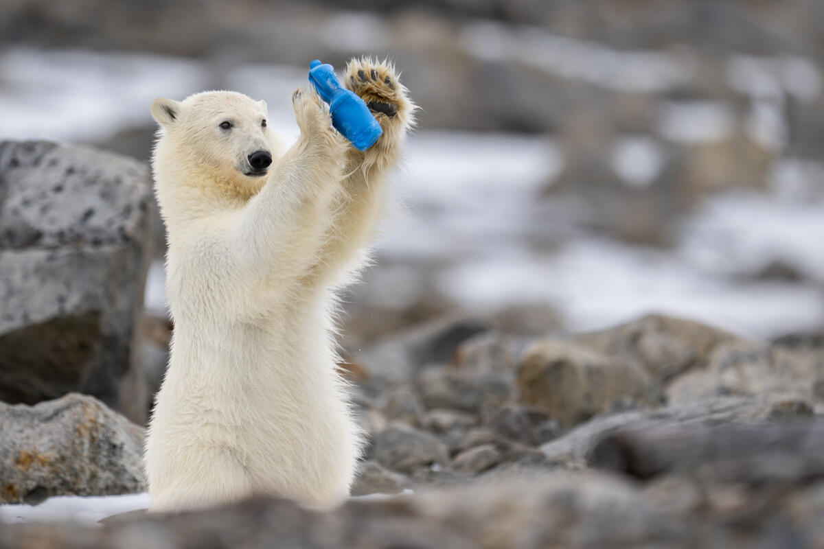 plastic soep dieren