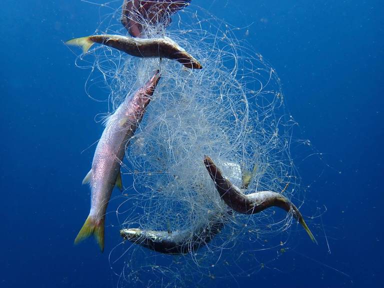 plastic soep oceaan